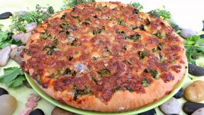 robot ménager : Pizza aux broutes