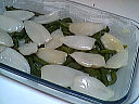 encornets