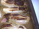 Endives farcies - 7.2
