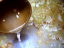Champignons forestiers - 3.1