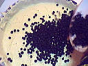 Clafoutis aux myrtilles - 3.1
