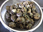 Escargots aux épinards - 7.2