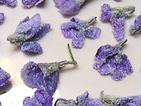 blanc d'oeuf : Fleurs cristallisées