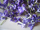 Fleurs cristallisées - 1.1