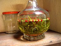 Image : recette Estragon et vinaigre