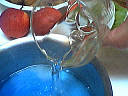 Fruits au curaçao - 2.2