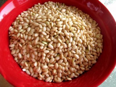 riz gluant