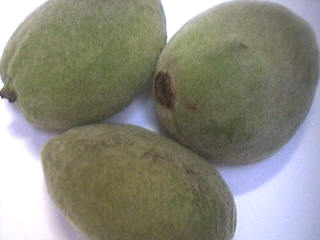 Photo : Des amandes