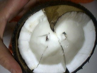 noix de coco