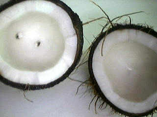 rinçons la noix de coco