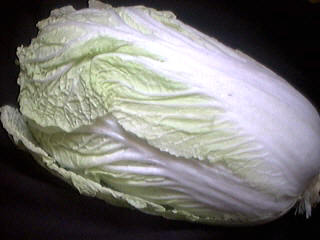 Photo : Chou chinois - Chou blanc chinois 