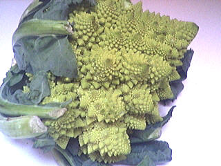 Photo : Chou Romanesco