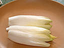 les endives