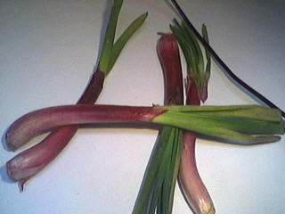 Photo : Ognasses