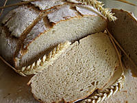 Pain de cmapagne au poolish