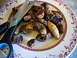Poires aux épices façon chinoise - 3.2