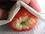 Mascarpone aux fraises et aux myrtilles - 2.1