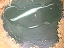 Tarte aux anchois - 5.1