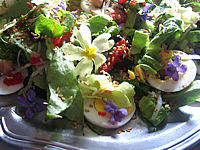 laitue romaine : Assiette de violettes et primevères en salade