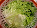 Salade de batavia et riz - 10.2