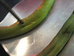 Purée de navets au chèvre - 7.2