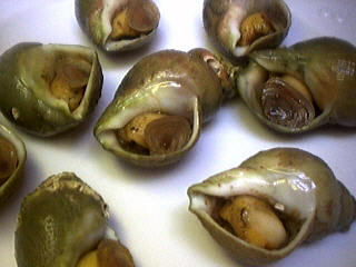 Bulots