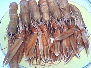 scampis ou langoustines