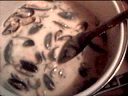 Moules à la crème - 20.1