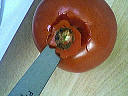 Conserve de coulis de tomates - 1.2