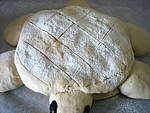 pain avant cuisson