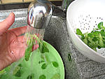 Sauce verte pour poisson - 2.1
