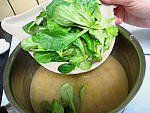 Sauce verte pour poisson - 5.1