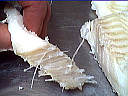 Morue à la purée de potiron - 8.3