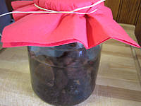 conserve au vinaigre : Bocal de pruneaux au vinaigre et au miel