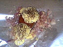 Saumon en papillotes - 5.3