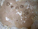 Pain de mie - 2.3