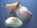 Seiches aux champignons et poivrons - 5.2