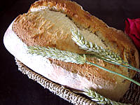 levure de boulanger : Pain de campagne au poolish