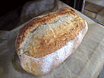 Pain de campagne au poolish - 19.1