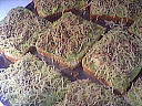 Tartines aux courgettes - 5.2