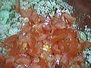 Salade tiède de rognon - 10.2