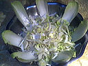 Salade de fromages - 4.1