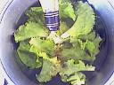 Salade de lotte à la mangue - 1.1