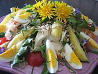 entrée à base de coquillages et crustacés : Plat de salade de langoustes aux pommes de terre