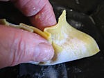 Raviolis Chinois - 10.1
