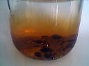Liqueur vieux garçon - 2.1