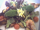 Cuisine diététique : Salade tiède de moules aux primevères