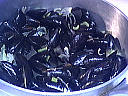 Salade tiède de moules aux primevères - 7.2