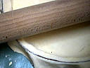 Quiche aux brocolis et saumon - 7.2