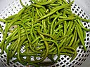 Haricots verts en salade - 6.3